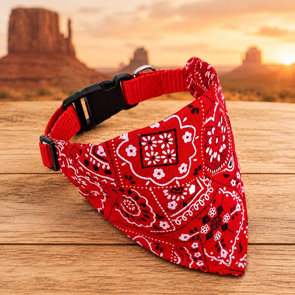 Collier bandana chien rouge posé sur bois face au désert