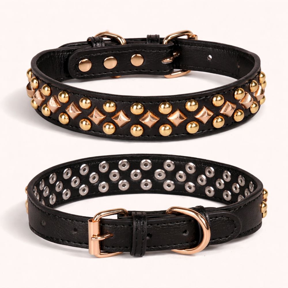 Collier chien noir avec anneau en D en alliage résistant, maintien sûr et durable