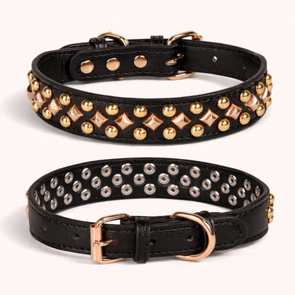 Collier chien noir avec anneau en D en alliage résistant, maintien sûr et durable