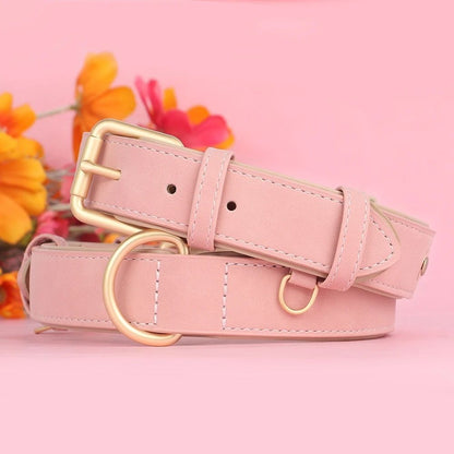 Détail du collier chien rose avec intérieur doux, boucle réglable et finitions confortables