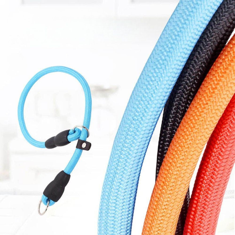 Zoom sur collier en corde pour chien épais et robuste de qualité supérieure