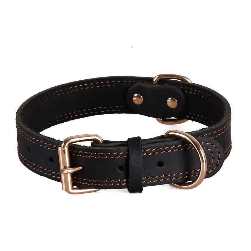 Produit seul d'un collier en cuir pour chien noir, parfait pour un style chic