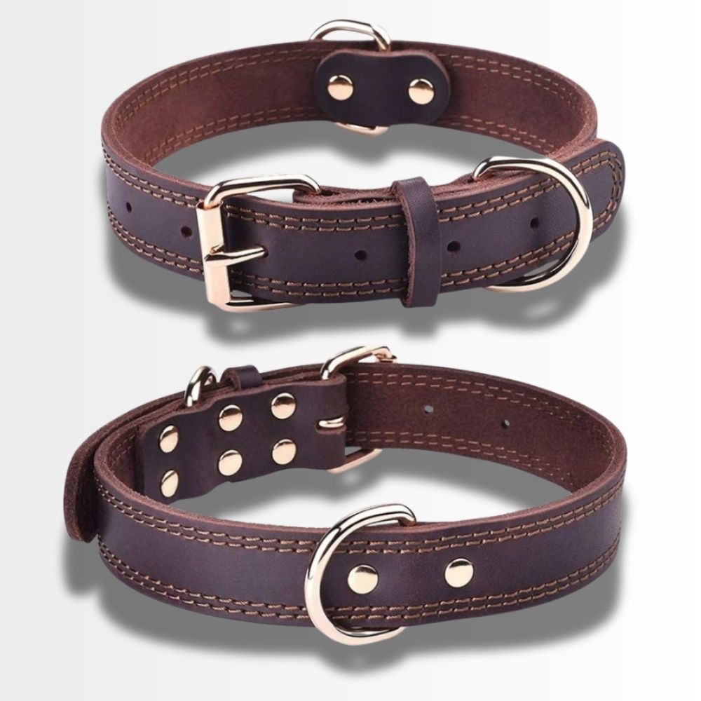 Collier en cuir pour chien marron robuste présenté seul
