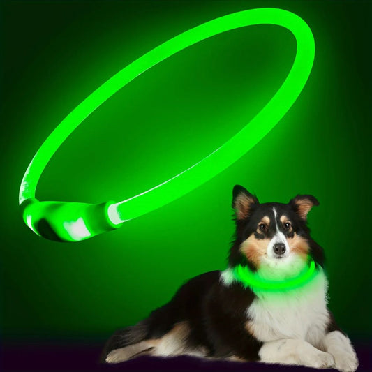 Collier lumineux pour chien vert éclatant porté par un chien, haute visibilité la nuit