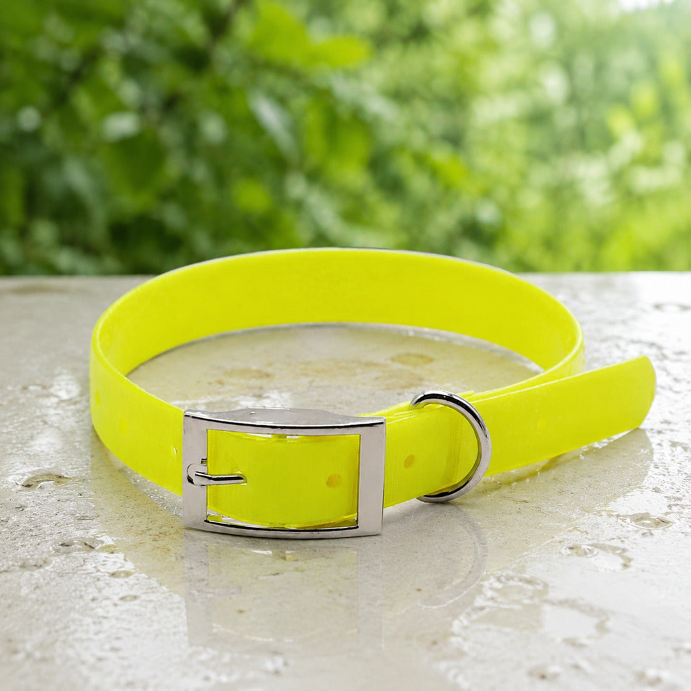Collier pour chien jaune en nylon enduit de TPU sur pierre humide