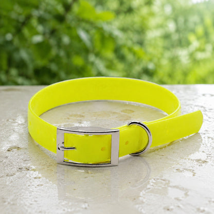 Collier pour chien jaune en nylon enduit de TPU sur pierre humide