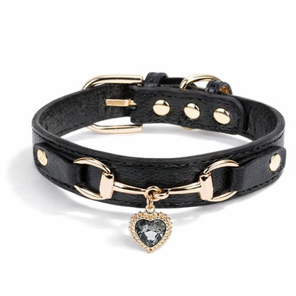 Collier pour chien luxe en cuir noir avec finitions dorées, au style chic et raffiné