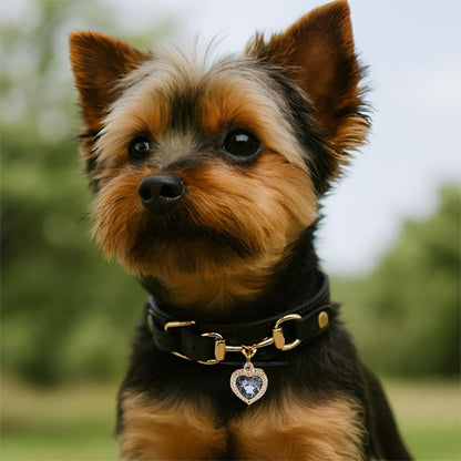 Petit chiot portant un collier pour chien luxe au pendentif décoratif à l’extérieur
