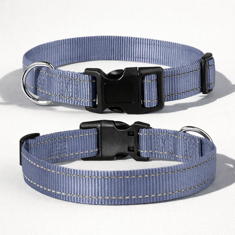 Collier réfléchissant pour chien gris, produit seul, visible à l’avant et à l’arrière
