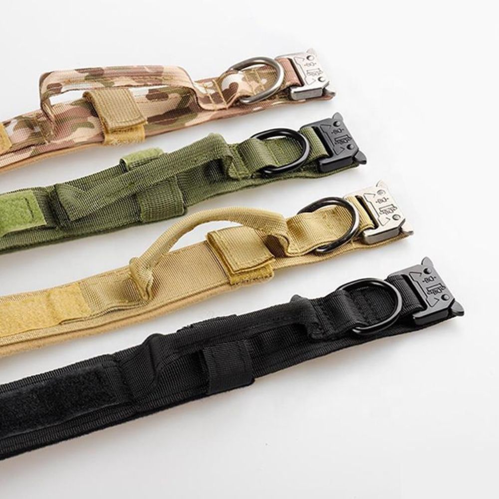 Variantes du collier tactique chien avec boucle en alliage de zinc résistante