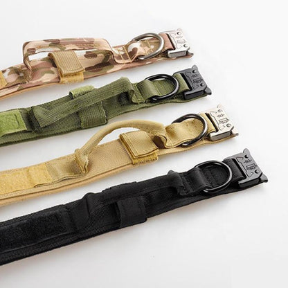 Variantes du collier tactique chien avec boucle en alliage de zinc résistante