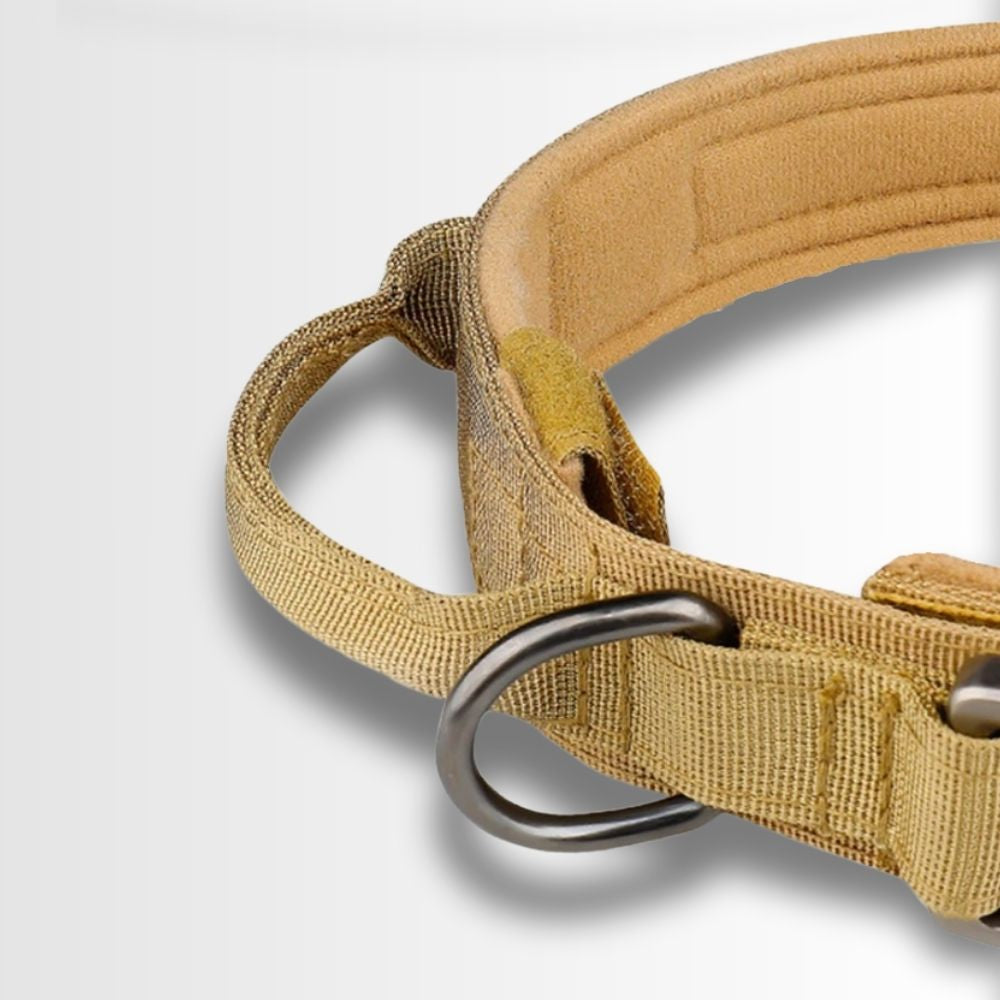 Zoom sur la boucle en zinc et la poignée robuste du collier tactique chien anti-etranglement