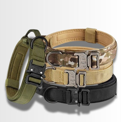 Collier tactique chien robuste disponible en vert, noir, jaune et beige 