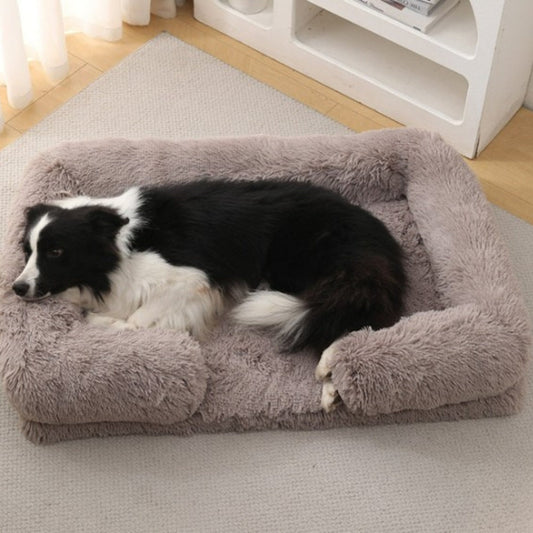 Coussin orthopédique chien offrant confort et bien-être pour un Border Collie