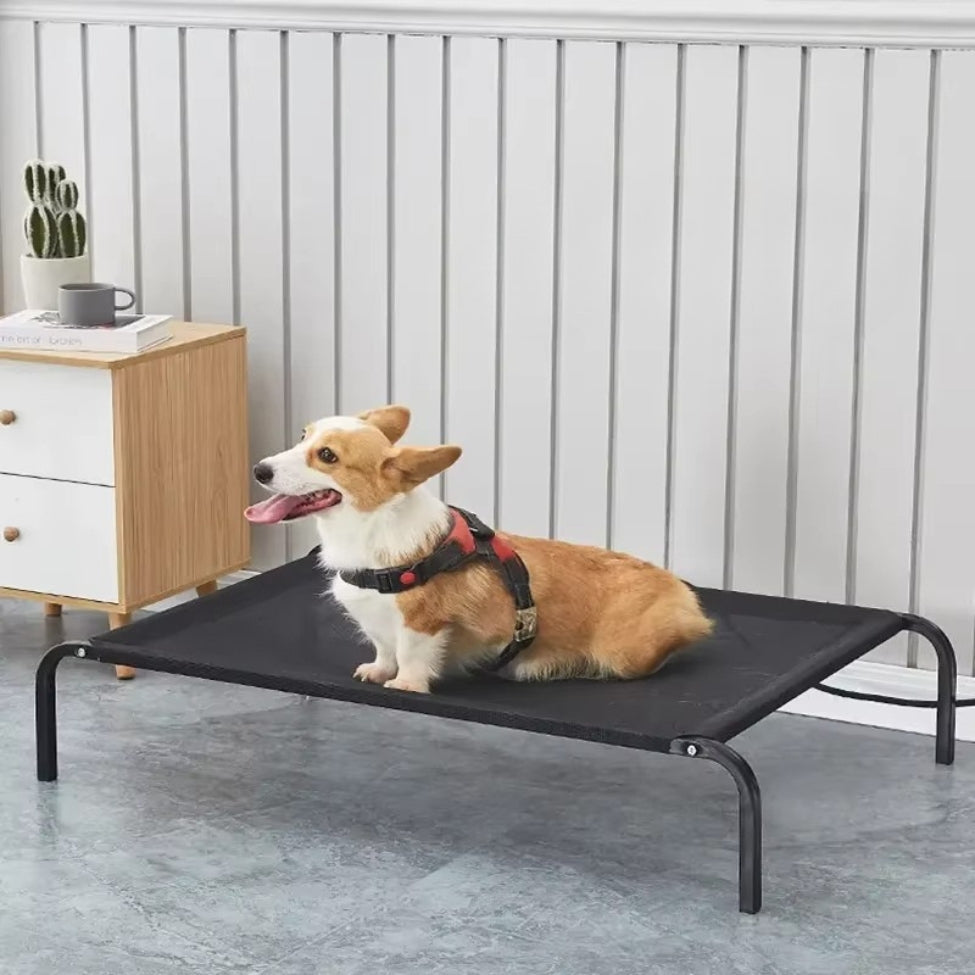 Corgi assis, attend patiemment sur un lit pour chien surélevé