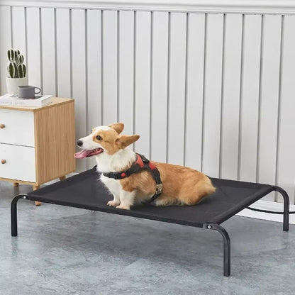 Corgi assis, attend patiemment sur un lit pour chien surélevé