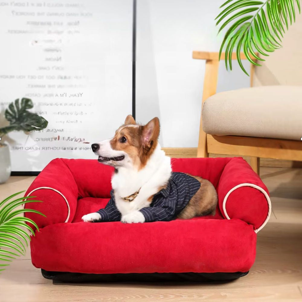 Corgi installé paisiblement sur un canapé chien confortable