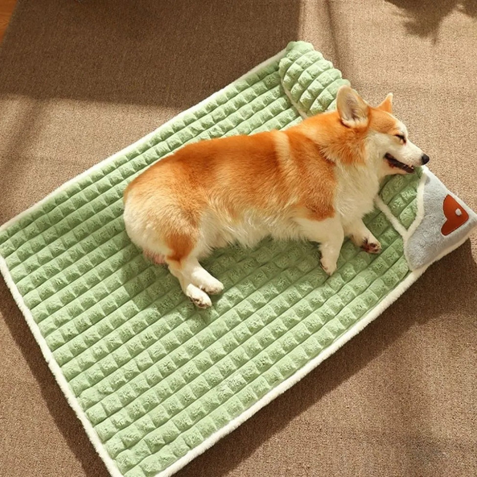 Corgi endormi sur le côté, profite du confort de lit pour chien