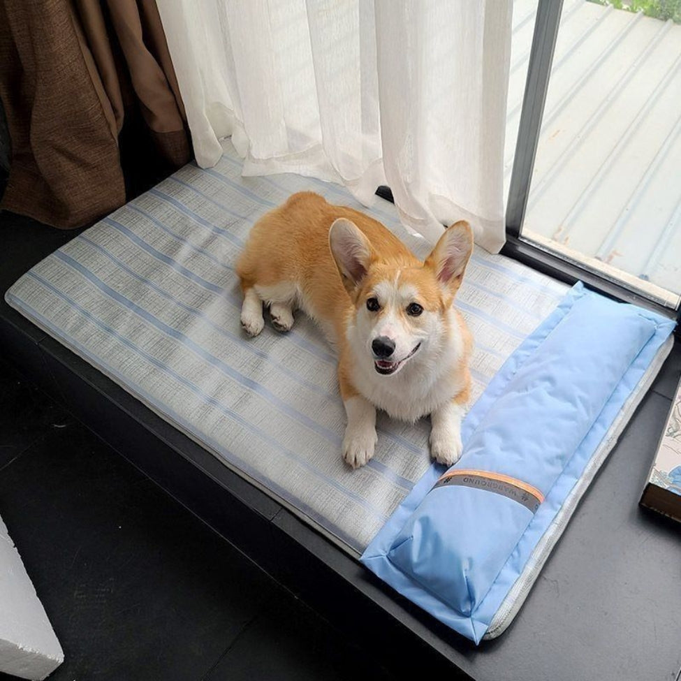 corgi installe dans confort de matelas rafraichissant pour chien, regard vers le haut