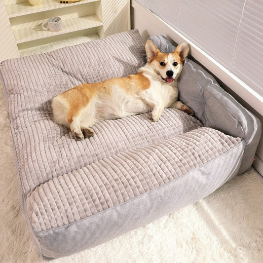 Corgi allonge sur grand lit chien, regarde vers le plafond