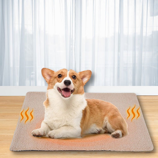 Corgi couché sur un tapis pour chien avec chauffage naturel