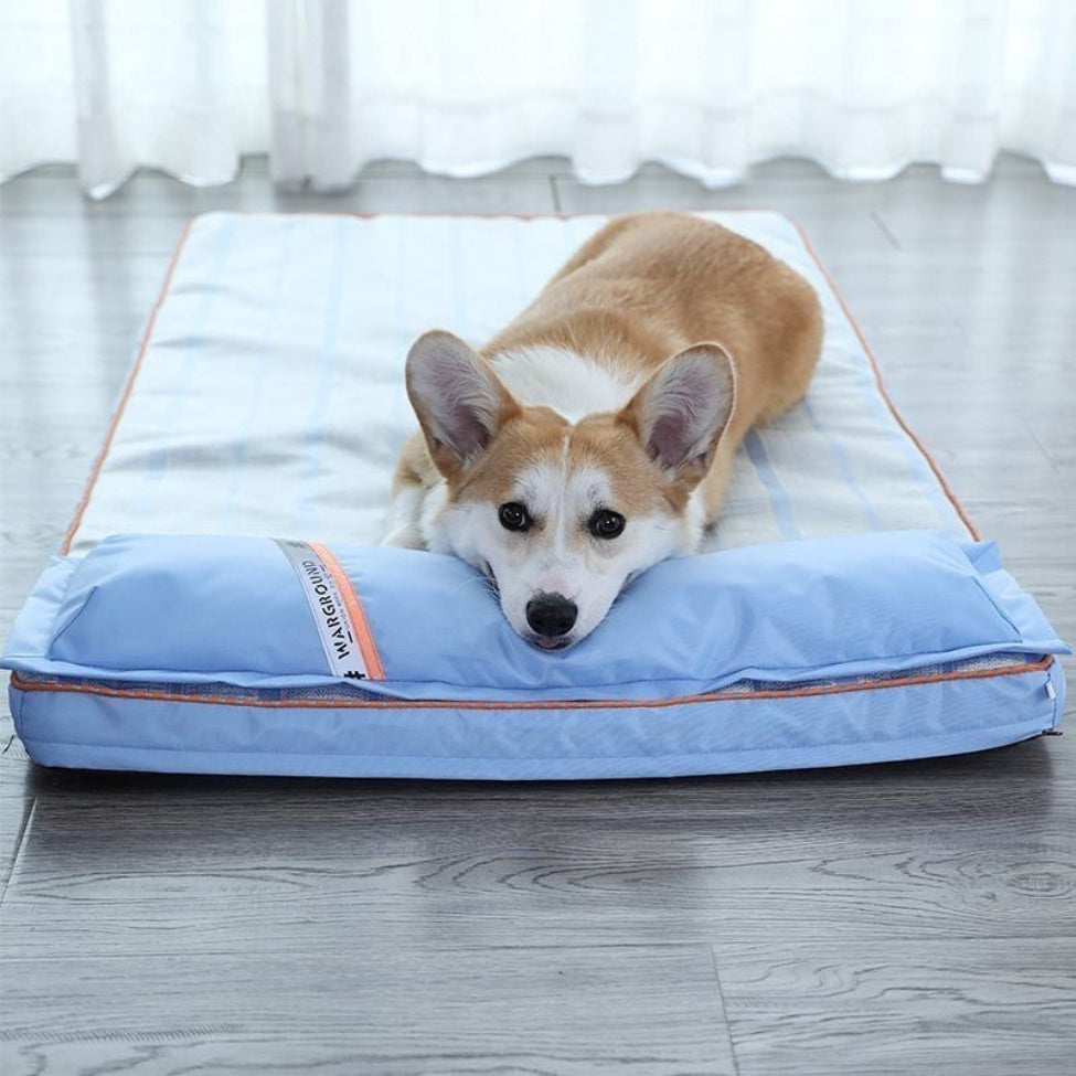 Corgi détendu, tête posée sur l'oreiller de matelas rafraichissant pour chien