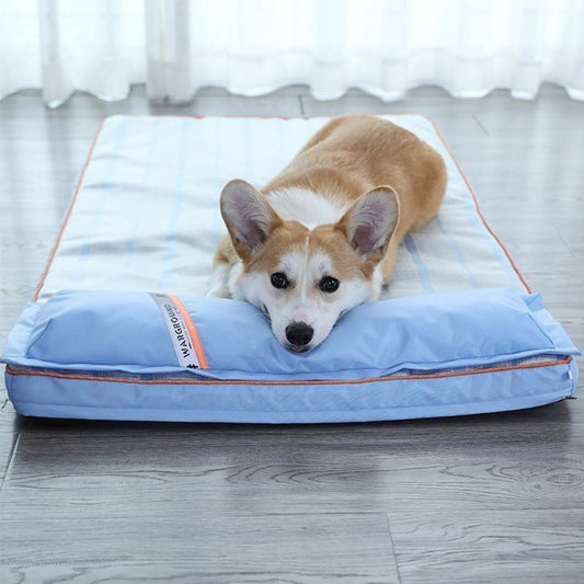 Corgi détendu, tête posée sur l'oreiller de matelas rafraichissant pour chien