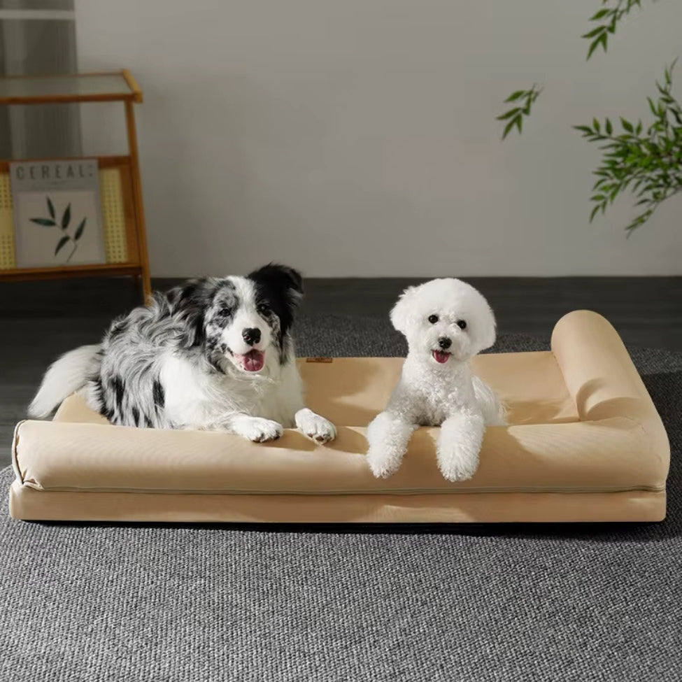 Deux chiens installés sur couchage chien regardent attentivement 