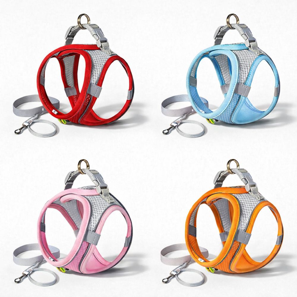 Harnais petit chien disponibles en plusieurs couleurs avec laisse grise incluse