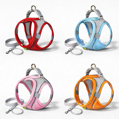 Harnais petit chien disponibles en plusieurs couleurs avec laisse grise incluse