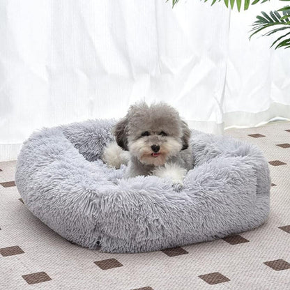 Caniche assis dans un coussin chien douillet et confortable pour un sommeil profond et apaisant