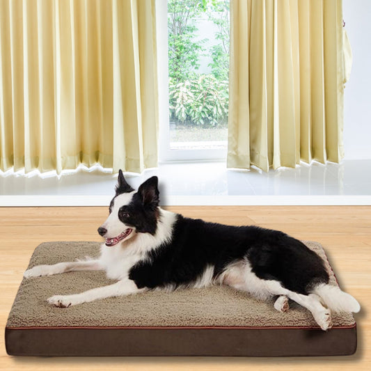 Border collie allongé sur un coussin chien marron avec une surface douce