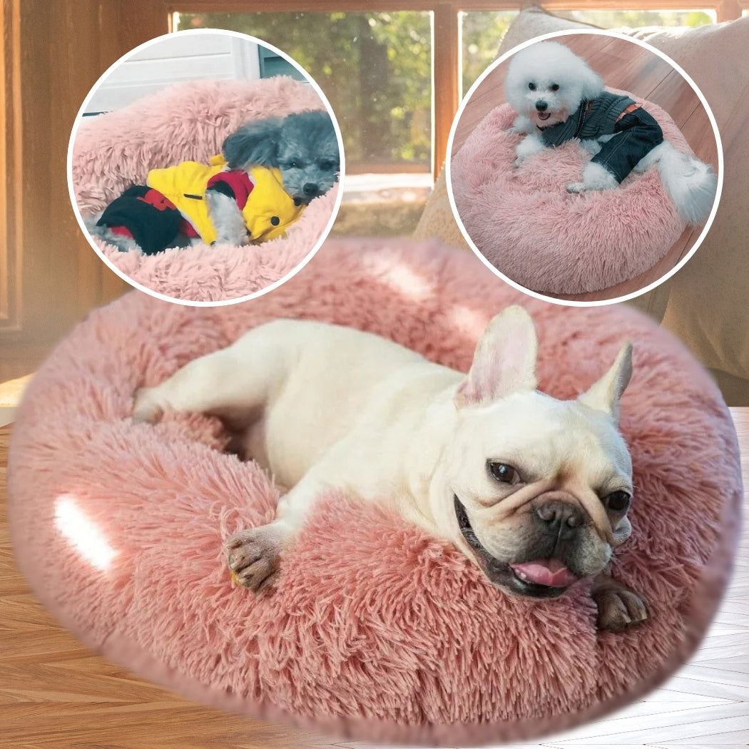 coussin-chien-sommeil-reparateur-pinko