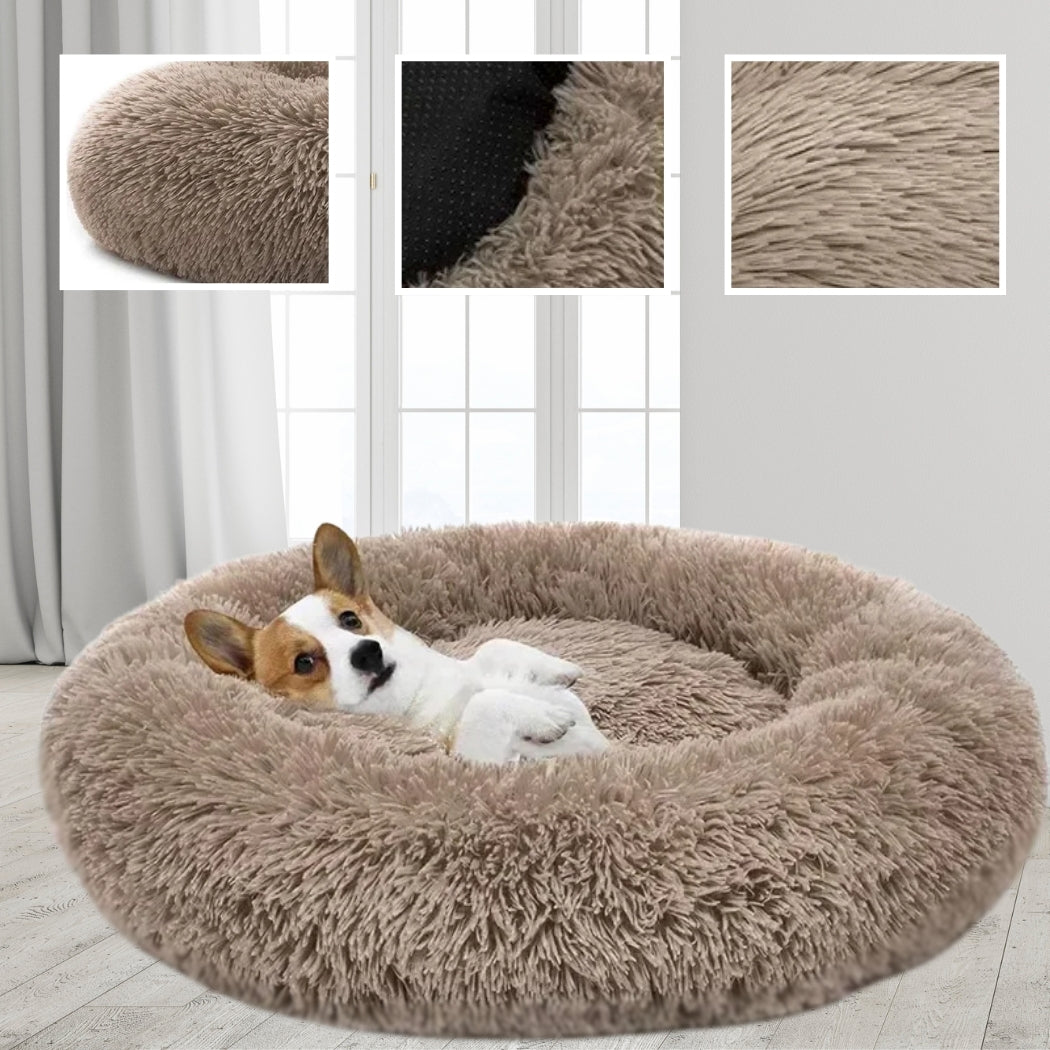 coussin chien | Lidodo™