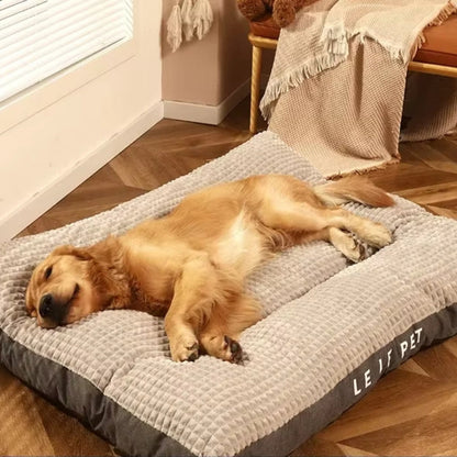 Golden retriever couché sur un coussin chien XXL gris ultra-confortable 