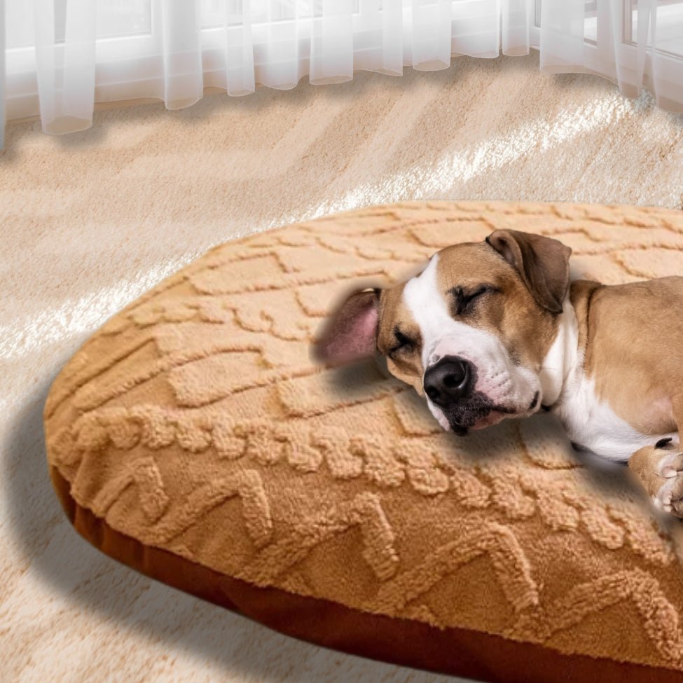 coussin-dehoussable-pour-chien-moelleux-lit-quatre-saisons