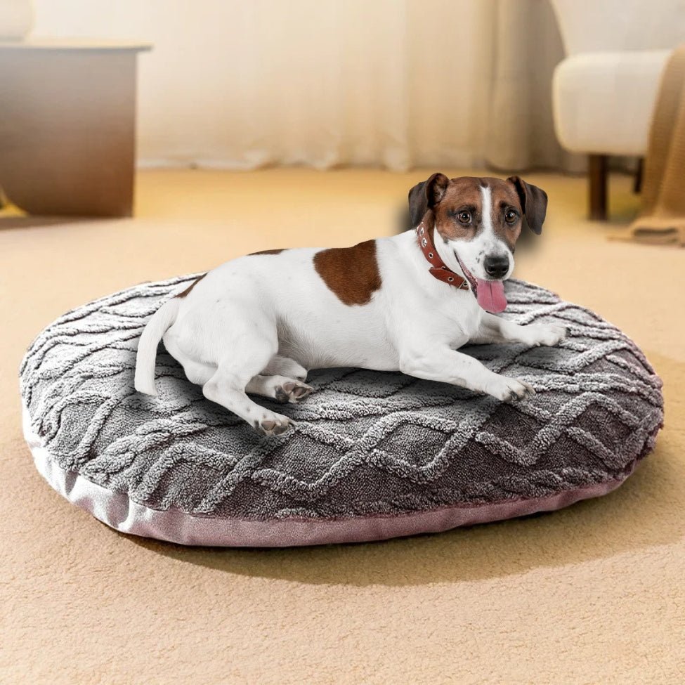 coussin-dehoussable-pour-chien-bien-etre-lit-quatre-saisons