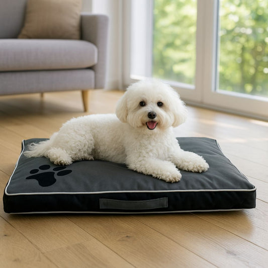 Bichon installé sur un coussin déhoussable pour chien, noir