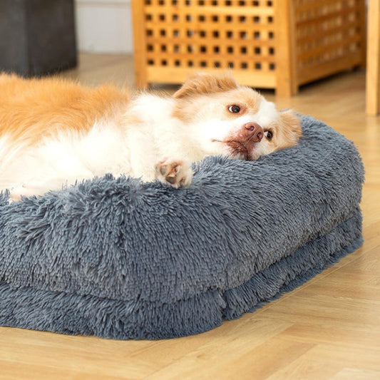 coussin-orthopedique-chien-siestes-reconfortantes