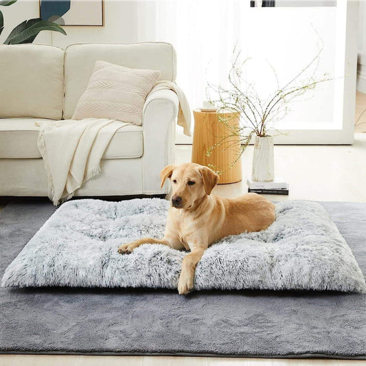coussin-pour-chien-bien-etre-atlas
