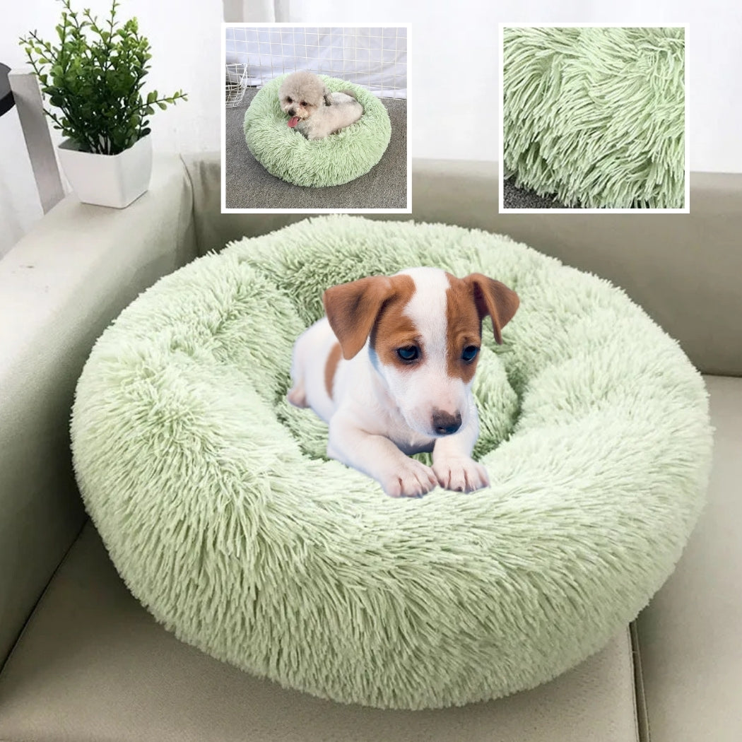 coussin-pour-chien-bien-etre-ronda