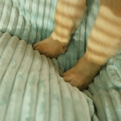 Deux pattes de chien posées sur un coussin pour chien douillet, texture moelleuse et rassurante