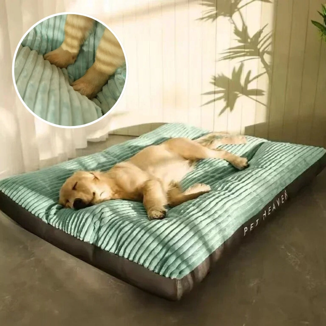 coussin pour chien | OAZE™