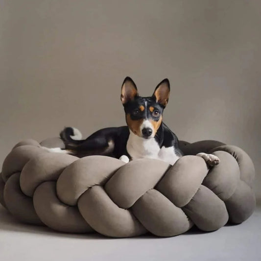 coussins pour chien | TRESSES