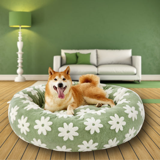 coussins pour chien design floral