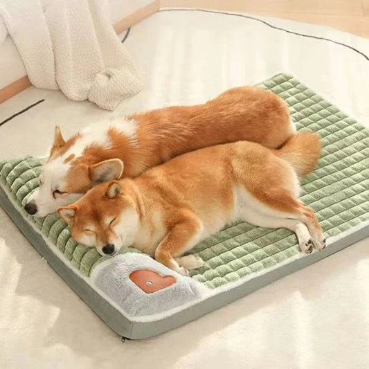 Deux chiens dorment ensemble sur lit pour chien 