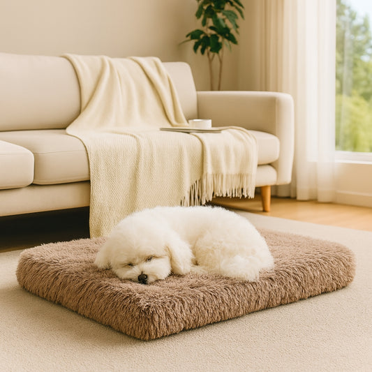 bichon endormi en boule, sur matelas pour chien à mémoire de forme