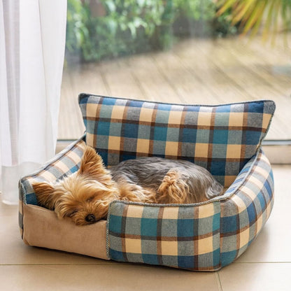 Yorkshire endormi dans un fauteuil chien bleu, confort rassurant