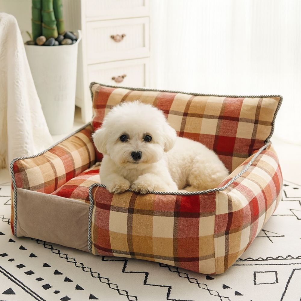 Bichon installé dans un fauteuil chien rouge, accueil doux et chaleureux