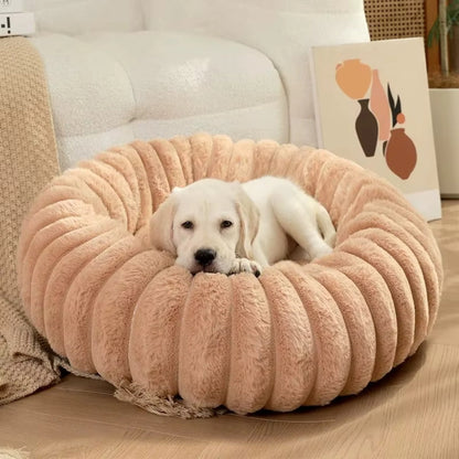 Golden retriever repose paisiblement sur des coussins pour chien apaisants